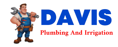 Trusted plumber in CUSTAR